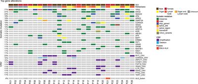 Altered Signaling Pathways Revealed by Comprehensive Genomic Profiling in Patients With Unknown Primary Tumors